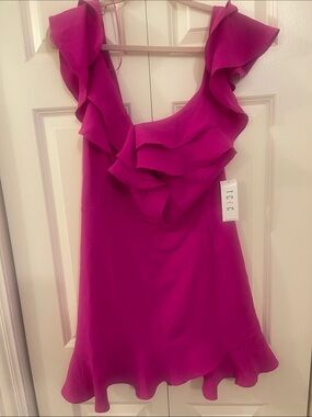 NWT TCEC Fuchsia Ruffle-Trim Mini Dress